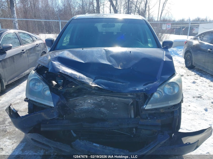 2007 Honda Odyssey Ex VIN: 5FNRL384X7B505742 Lot: 12547678