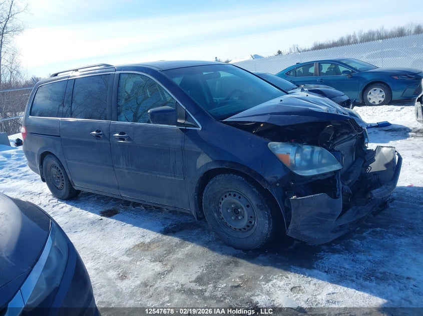 2007 Honda Odyssey Ex VIN: 5FNRL384X7B505742 Lot: 12547678