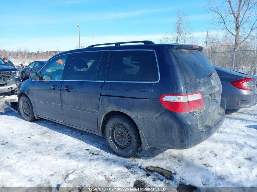 2007 Honda Odyssey Ex VIN: 5FNRL384X7B505742 Lot: 12547678