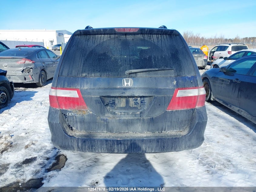 2007 Honda Odyssey Ex VIN: 5FNRL384X7B505742 Lot: 12547678