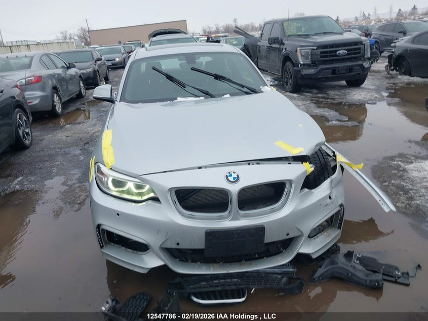 2016 BMW 228I xDrive VIN: WBA1G9C50GV599794 Lot: 12547786
