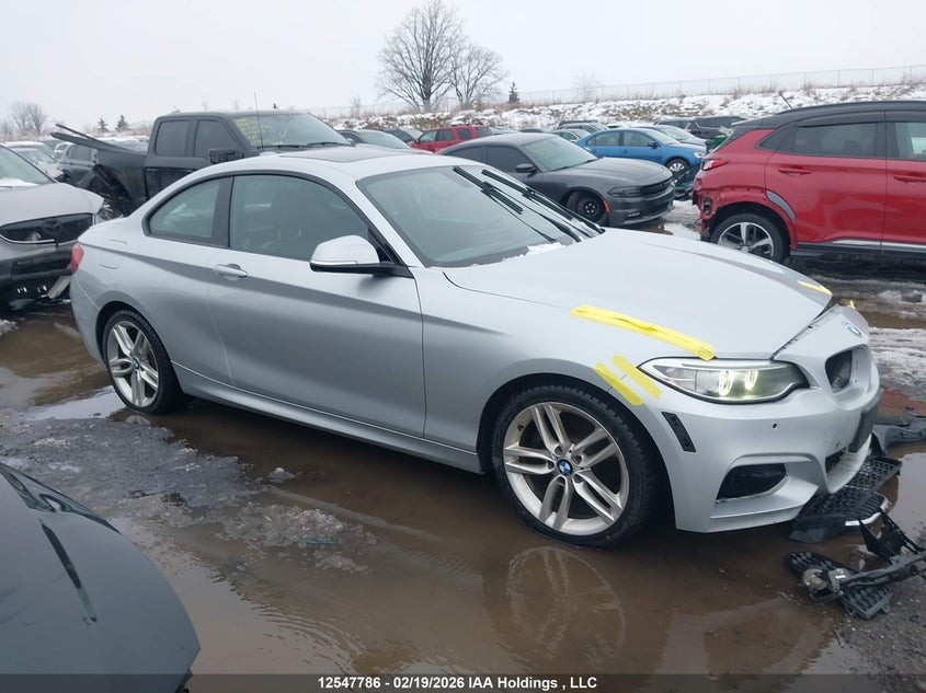 2016 BMW 228I xDrive VIN: WBA1G9C50GV599794 Lot: 12547786