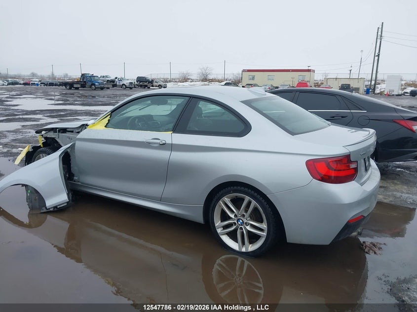 2016 BMW 228I xDrive VIN: WBA1G9C50GV599794 Lot: 12547786