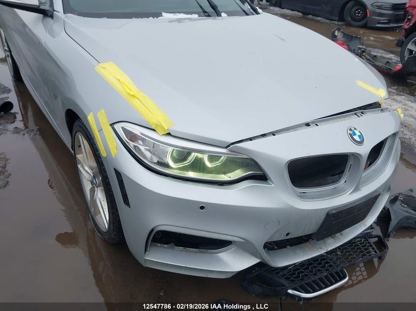 2016 BMW 228I xDrive VIN: WBA1G9C50GV599794 Lot: 12547786