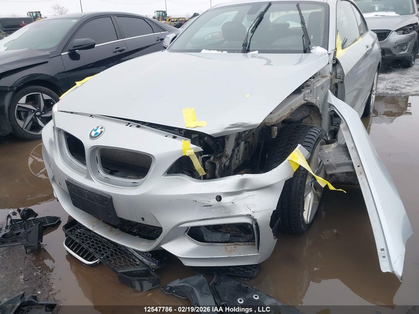 2016 BMW 228I xDrive VIN: WBA1G9C50GV599794 Lot: 12547786