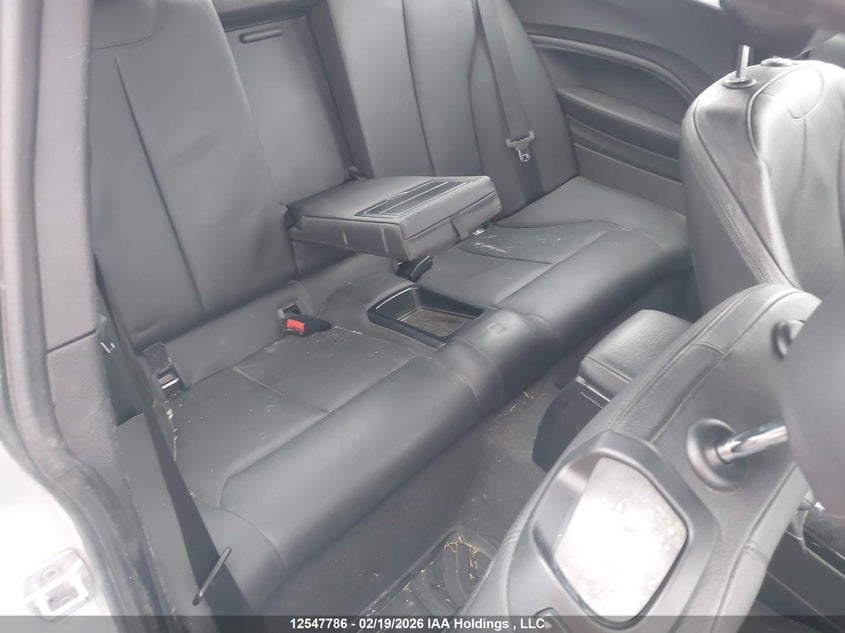 2016 BMW 228I xDrive VIN: WBA1G9C50GV599794 Lot: 12547786