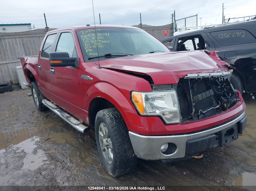 2013 FORD F-150
