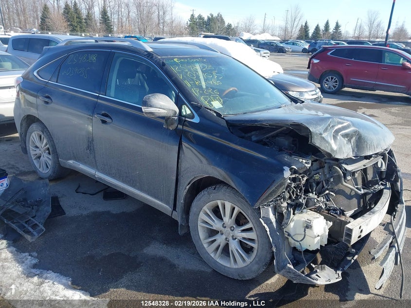 JTJBC1BA3B2039035 LEXUS RX Photo 1