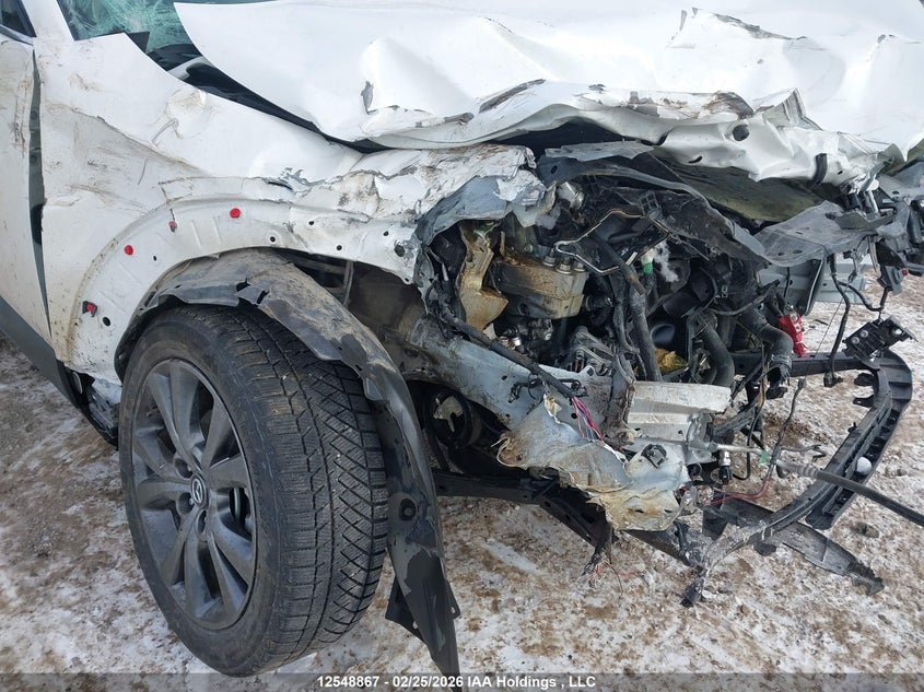 2021 Mazda Cx-30 Premium VIN: 3MVDMBDL7MM206651 Lot: 12548867