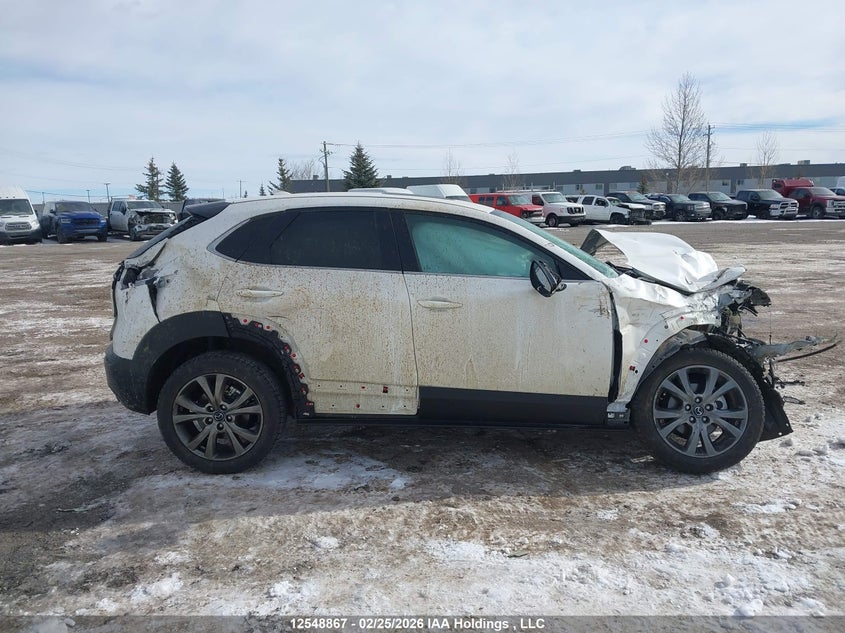 2021 Mazda Cx-30 Premium VIN: 3MVDMBDL7MM206651 Lot: 12548867