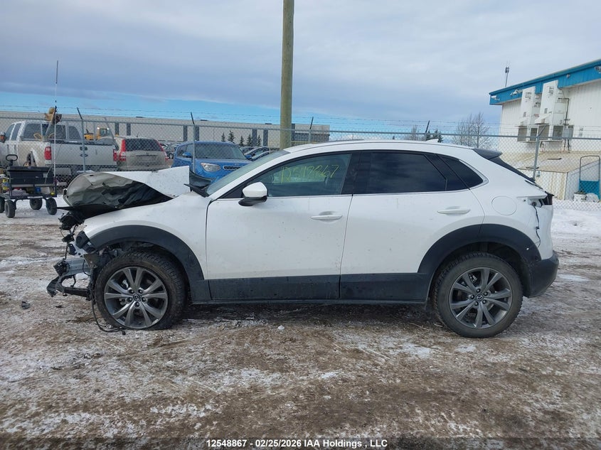 2021 Mazda Cx-30 Premium VIN: 3MVDMBDL7MM206651 Lot: 12548867