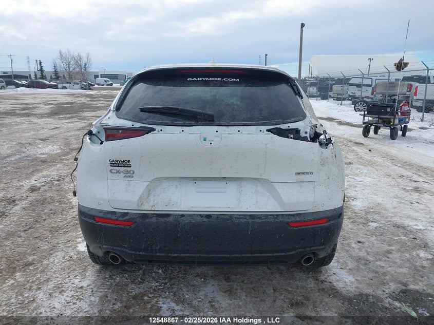 2021 Mazda Cx-30 Premium VIN: 3MVDMBDL7MM206651 Lot: 12548867