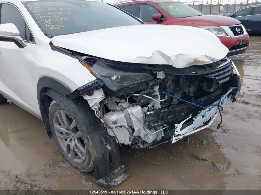 2020 Lexus Nx 300 VIN: JTJGARDZ6L5000601 Lot: 12549519