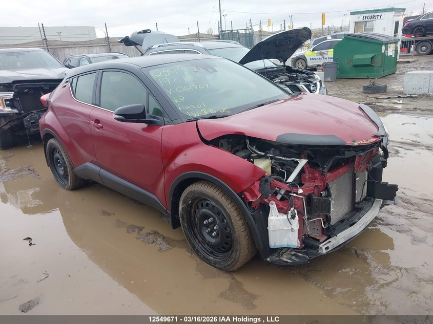 2019 Toyota C-Hr VIN: JTNKHMBX6K1061767 Lot: 12549671