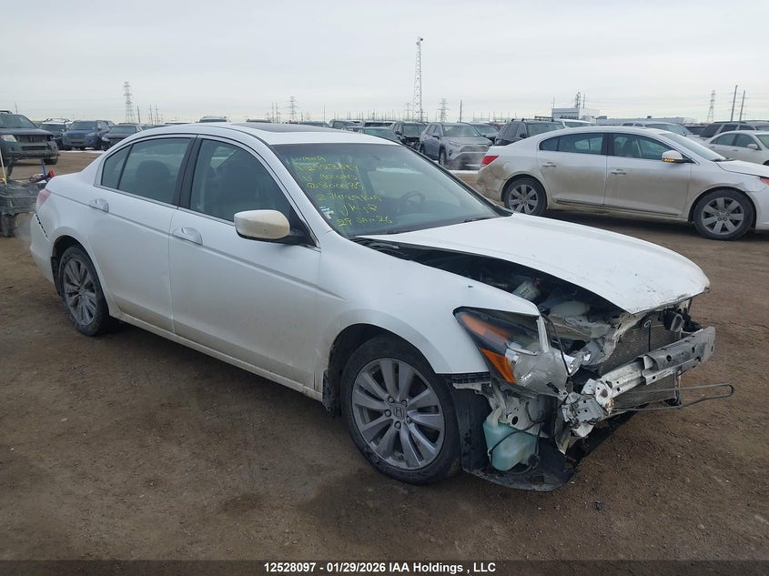 2011 HONDA ACCORD EX-L V6