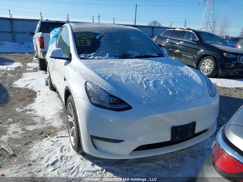 2021 Tesla Model Y Long Range VIN: 5YJYGAEE2MF237136 Lot: 12550662
