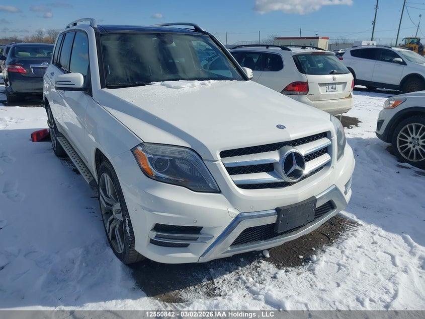 WDCGG0EBXFG433274 2015 Mercedes-Benz Glk 250 Bluetec 4Matic auction photo 1