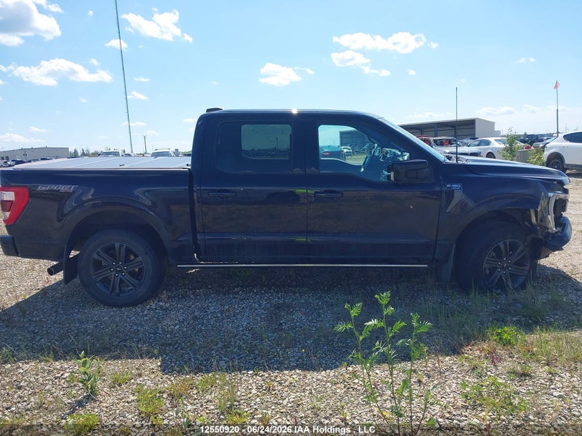 2023 FORD F150 SUPERCREW PICKUP 2.7L V-6 DI, DOHC, VVT, TURBO, 325HP