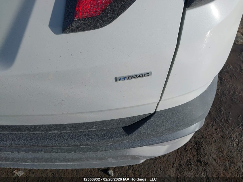 2025 Hyundai Tucson Sel VIN: 5NMJBCDE6SH555009 Lot: 12550932