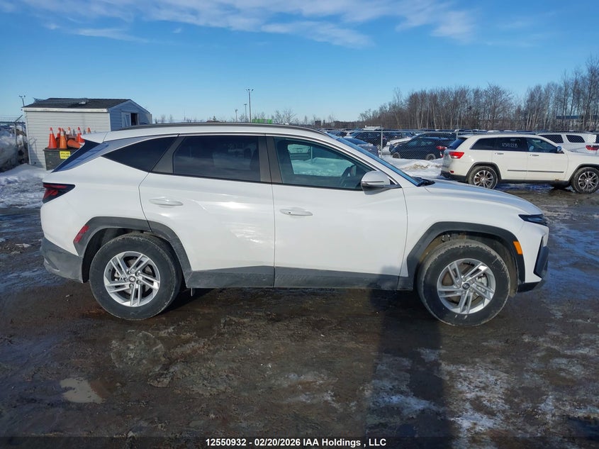 2025 Hyundai Tucson Sel VIN: 5NMJBCDE6SH555009 Lot: 12550932