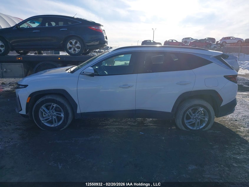 2025 Hyundai Tucson Sel VIN: 5NMJBCDE6SH555009 Lot: 12550932