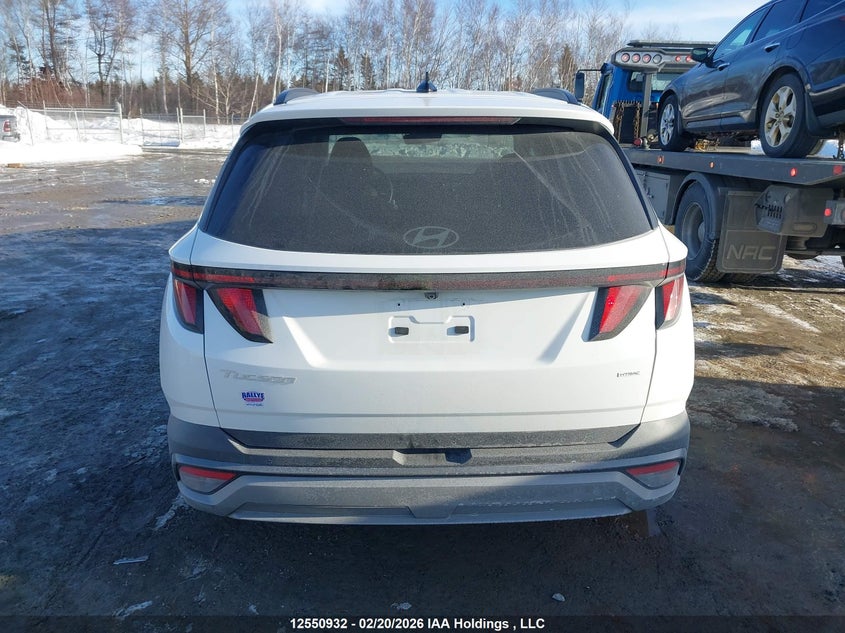 2025 Hyundai Tucson Sel VIN: 5NMJBCDE6SH555009 Lot: 12550932
