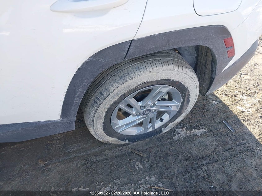 2025 Hyundai Tucson Sel VIN: 5NMJBCDE6SH555009 Lot: 12550932