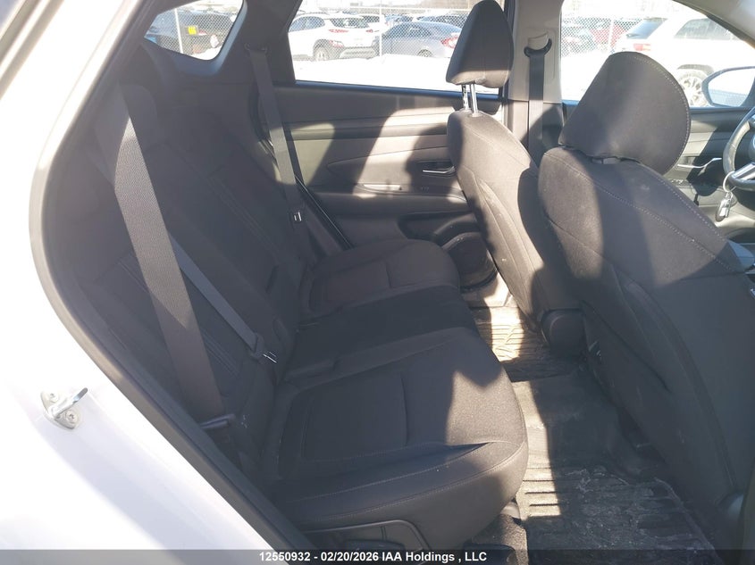 2025 Hyundai Tucson Sel VIN: 5NMJBCDE6SH555009 Lot: 12550932