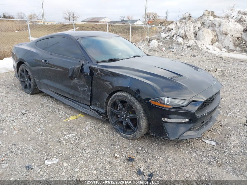 1FA6P8THXK5102844 2019 Ford Mustang Ecoboost Premium auction photo 1