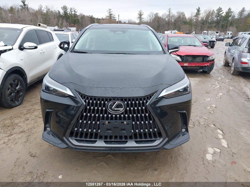 2025 Lexus Nx 350H 350H VIN: 2T2GKCEZ3SC039297 Lot: 12551267