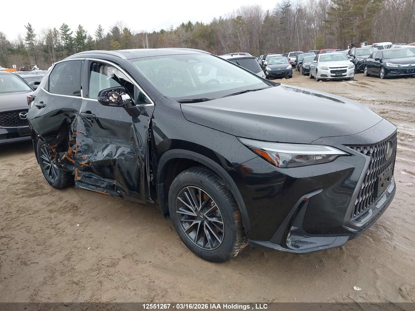 2025 Lexus Nx 350H 350H VIN: 2T2GKCEZ3SC039297 Lot: 12551267