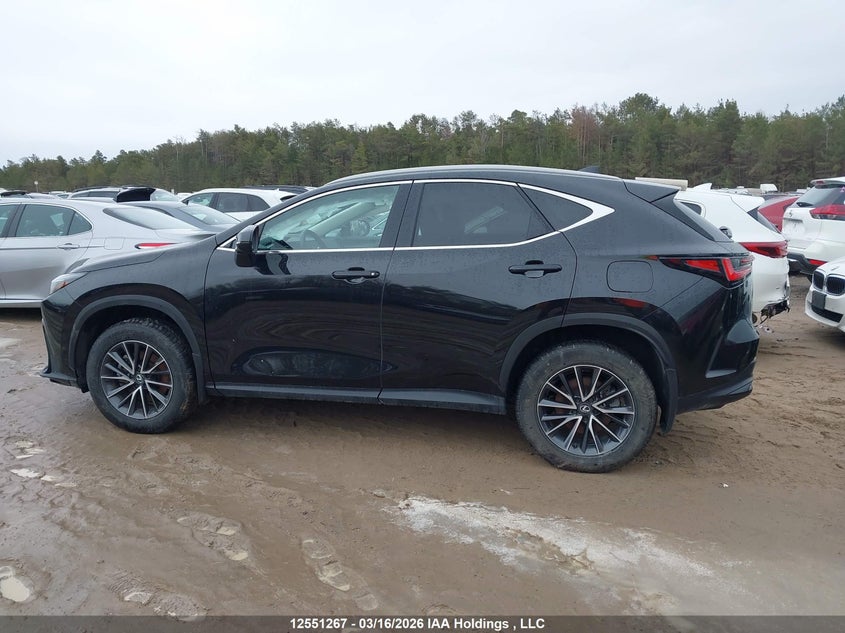 2025 Lexus Nx 350H 350H VIN: 2T2GKCEZ3SC039297 Lot: 12551267