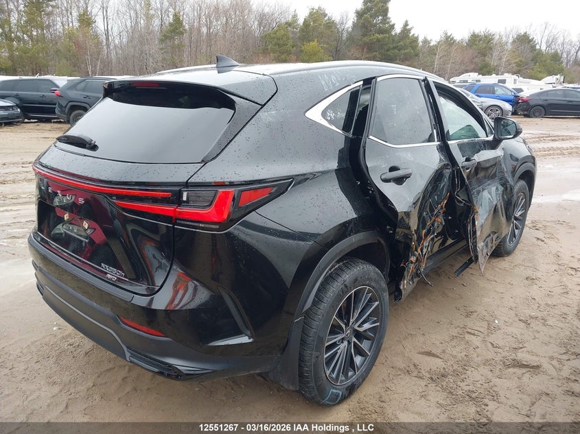 2025 Lexus Nx 350H 350H VIN: 2T2GKCEZ3SC039297 Lot: 12551267