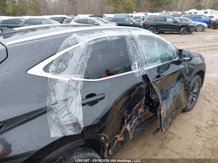 2025 Lexus Nx 350H 350H VIN: 2T2GKCEZ3SC039297 Lot: 12551267