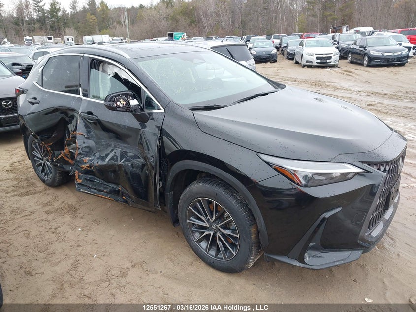2025 Lexus Nx 350H 350H VIN: 2T2GKCEZ3SC039297 Lot: 12551267