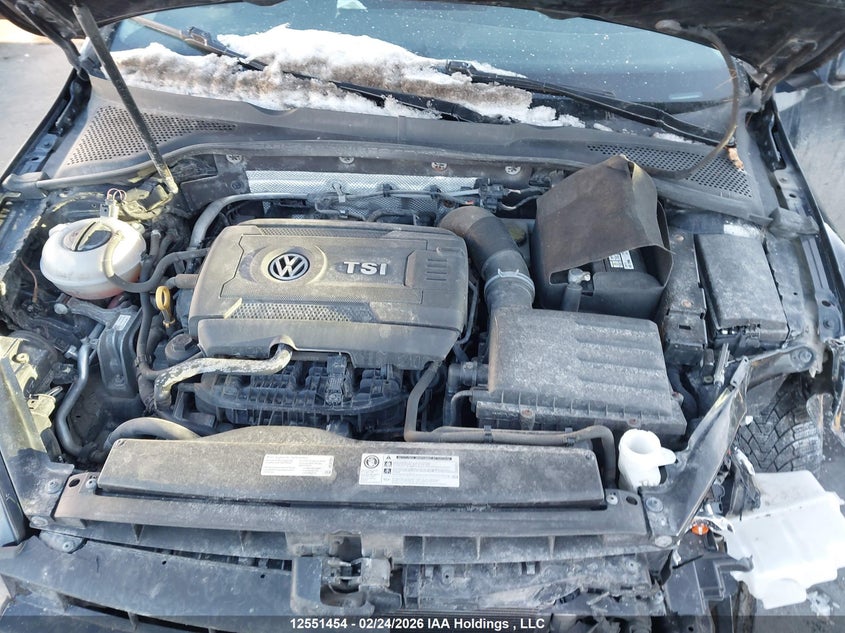 2017 Volkswagen Golf S/Wolfsburg VIN: 3VW117AU9HM009569 Lot: 12551454