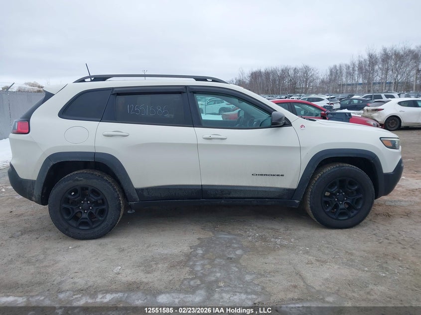 2019 Jeep Cherokee Trailhawk VIN: 1C4PJMBXXKD175168 Lot: 12551585