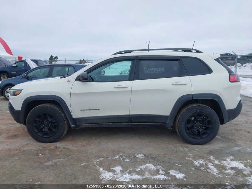2019 Jeep Cherokee Trailhawk VIN: 1C4PJMBXXKD175168 Lot: 12551585