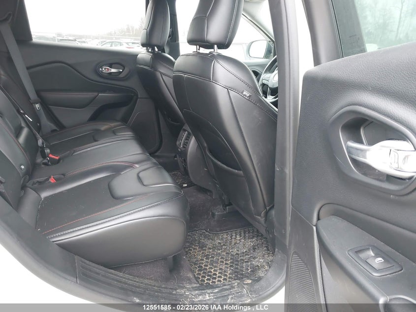 2019 Jeep Cherokee Trailhawk VIN: 1C4PJMBXXKD175168 Lot: 12551585