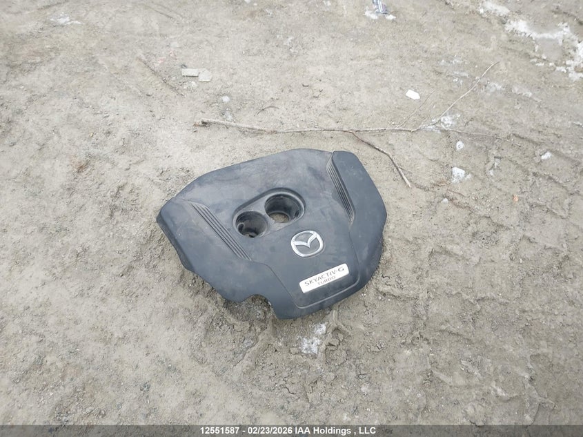 2021 Mazda 3 VIN: JM1BPBJY5M1310603 Lot: 12551587