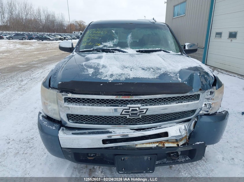 2010 Chevrolet Silverado 1500 Ls VIN: 3GCRKREA7AG260402 Lot: 12552603