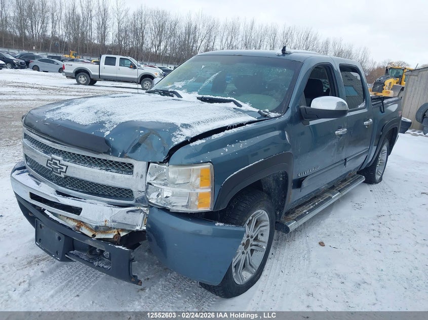 2010 Chevrolet Silverado 1500 Ls VIN: 3GCRKREA7AG260402 Lot: 12552603