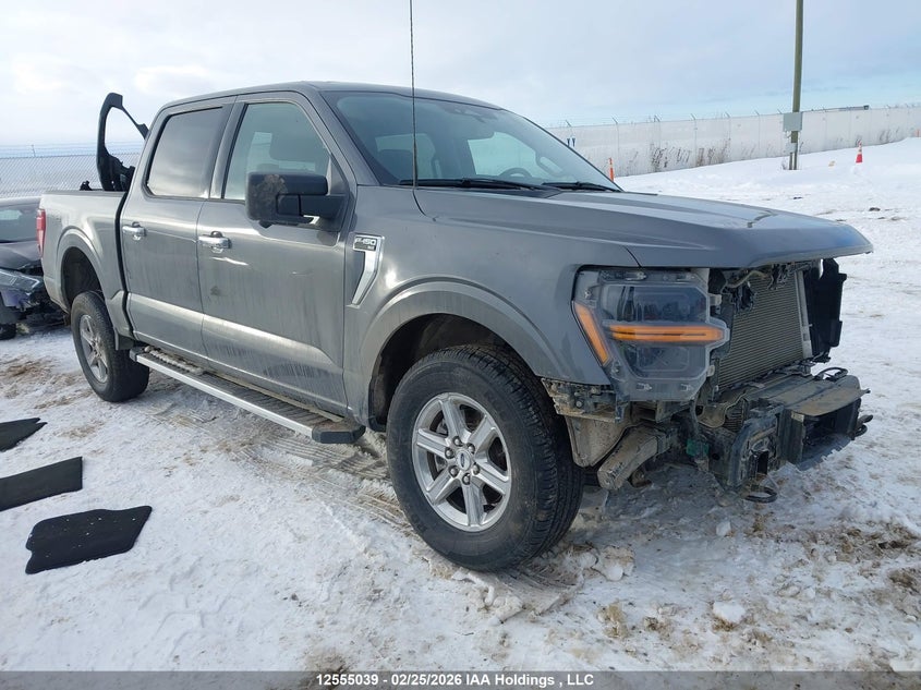 1FTFW3L86RKD64890 2024 Ford F150 Xlt auction photo 1