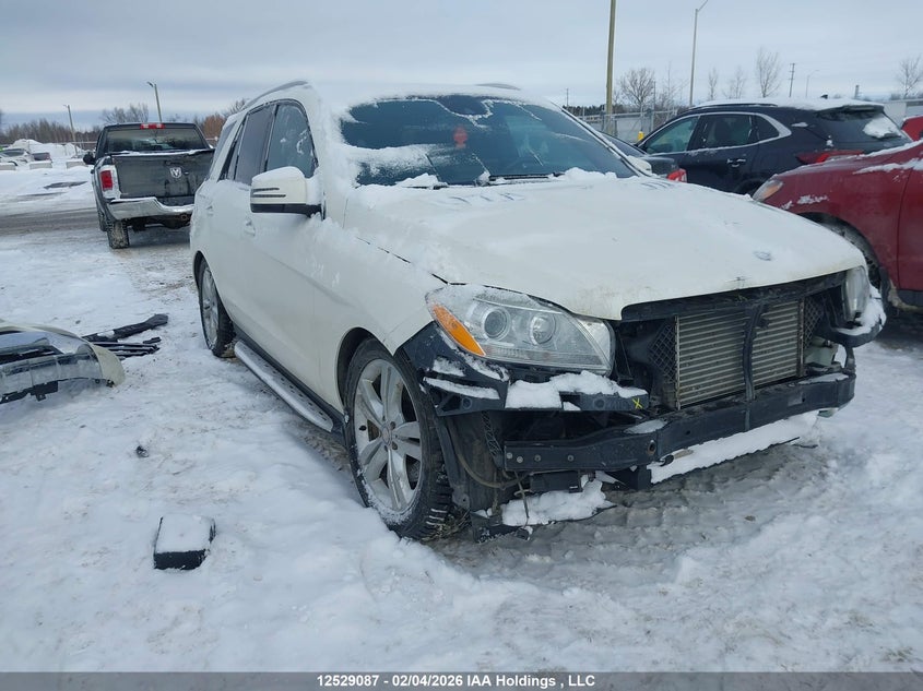 4JGDA2EB1DA208078 2013 Mercedes-Benz Ml 350 Bluetec 4Matic auction photo 1
