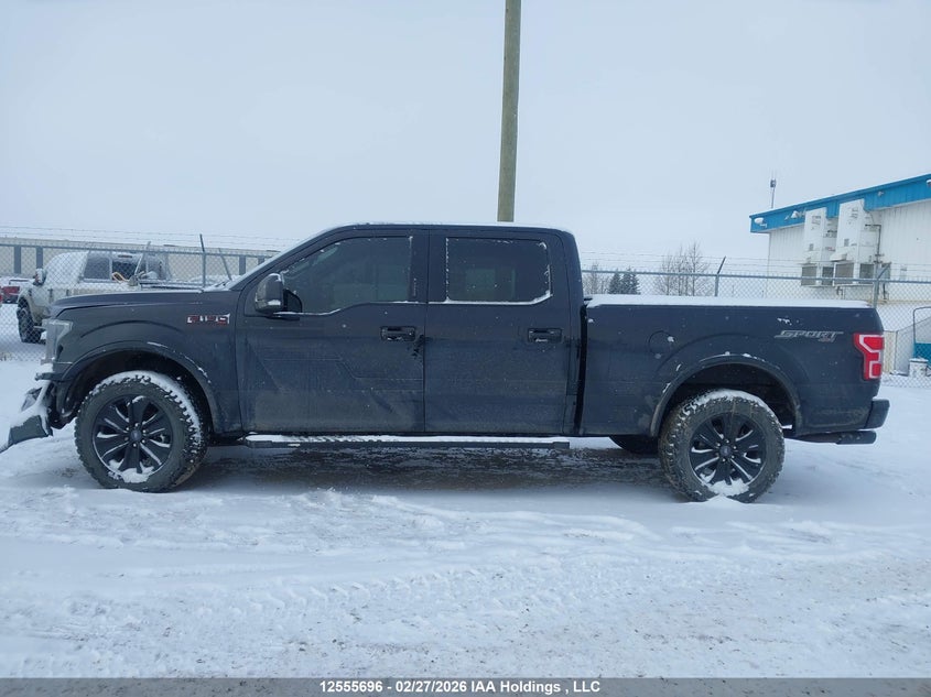 2019 Ford F150 Supercrew VIN: 1FTFW1E41KFB39905 Lot: 12555696