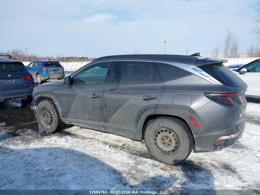 2023 Hyundai Tucson Luxury/Ultimate VIN: KM8JDDA24PU130880 Lot: 12555763