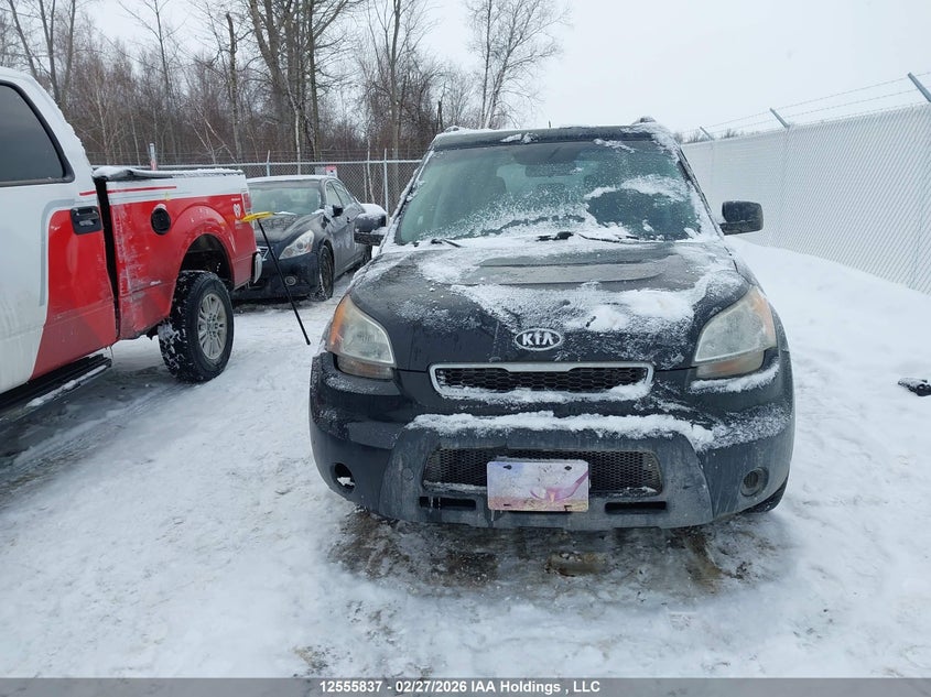2010 Kia Soul +/!/Sport VIN: KNDJT2A20A7041261 Lot: 12555837