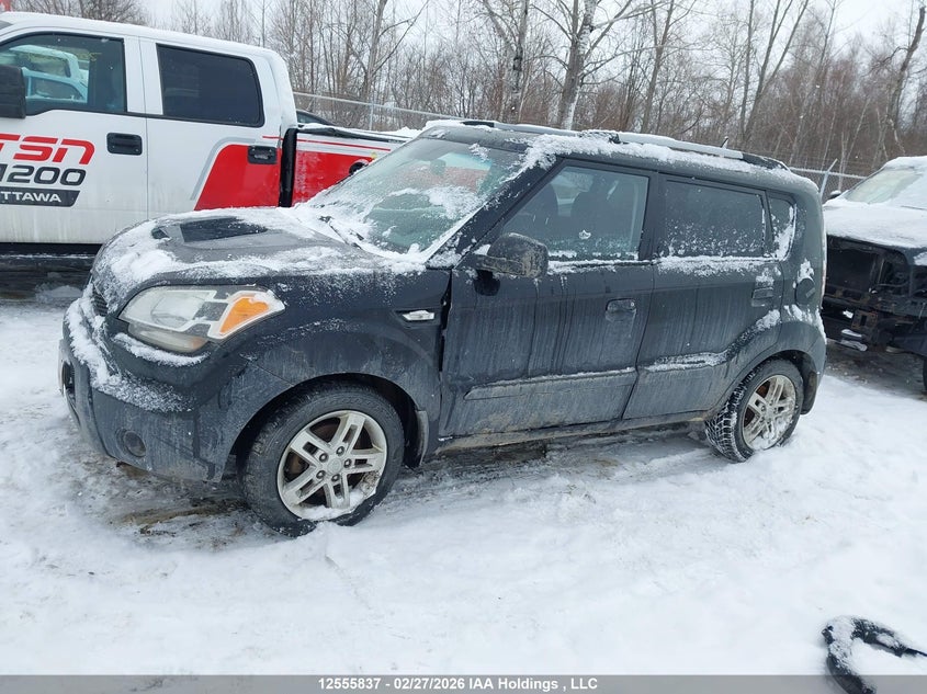 2010 Kia Soul +/!/Sport VIN: KNDJT2A20A7041261 Lot: 12555837