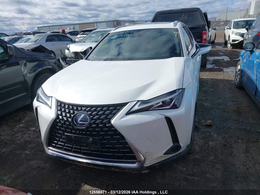 2022 Lexus Ux 250H VIN: JTHP9JBH0N2057970 Lot: 12556071