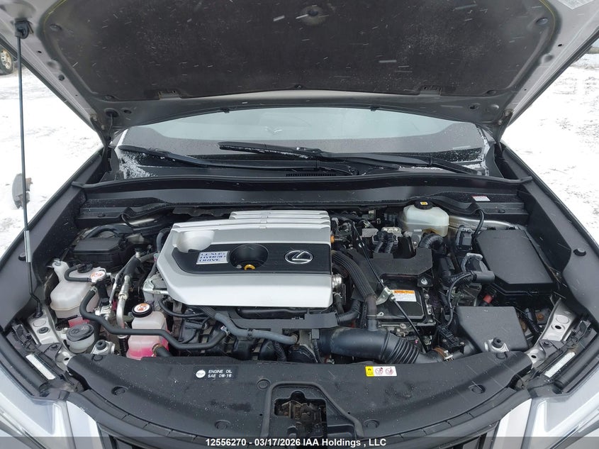 2020 Lexus Ux 250H VIN: JTHP9JBH7L2030407 Lot: 12556270